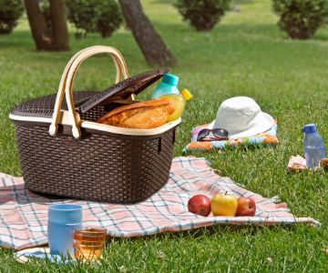Plastic Picnic Basket
