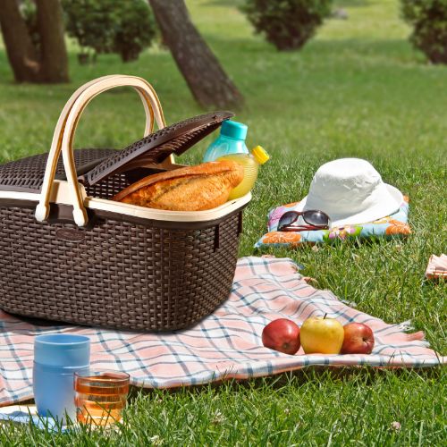 Plastic Picnic Basket