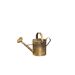 watering can