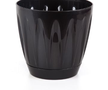 DAISY POT 