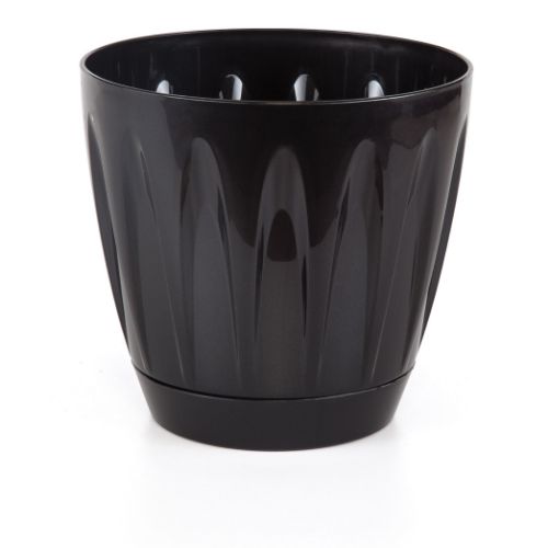 DAISY POT 