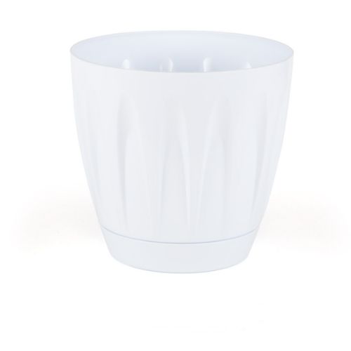 DAISY POT 