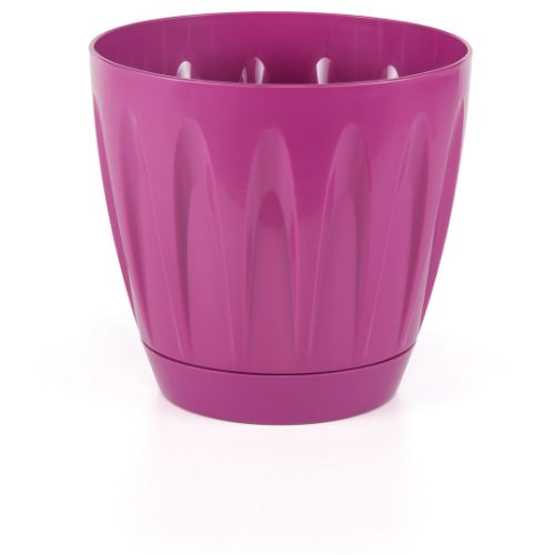 DAISY POT 