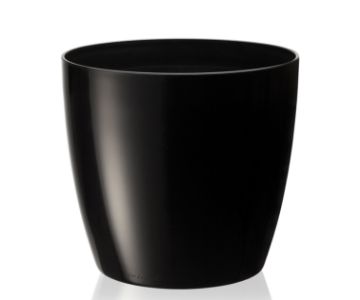 RUBY POT