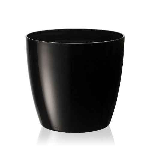 RUBY POT