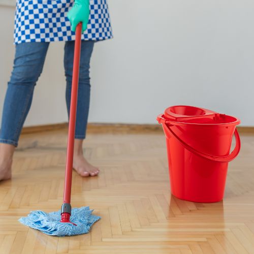 OVAL CLEANING BUCKET AND WRINGER