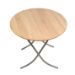 ALESTA PICNIC TABLE