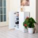ALESTA 2 DOOR 4 SHELVES SHOE CABINET