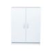 ALESTA 2 DOOR 4 SHELVES SHOE CABINET