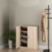 ALESTA 2 DOOR 4 SHELVES SHOE CABINET