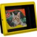 Peti Cat Litter Box