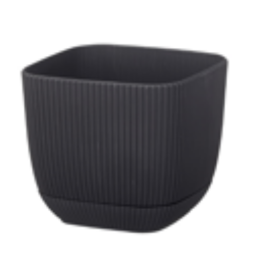 Coral Square Flower Pot 