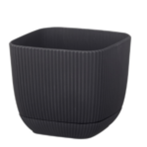 Coral Square Flower Pot 