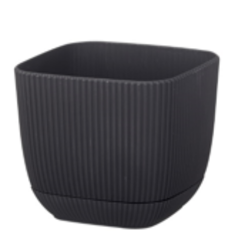 Coral Square Flower Pot 