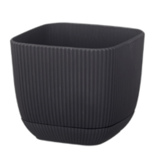 Coral Square Flower Pot 
