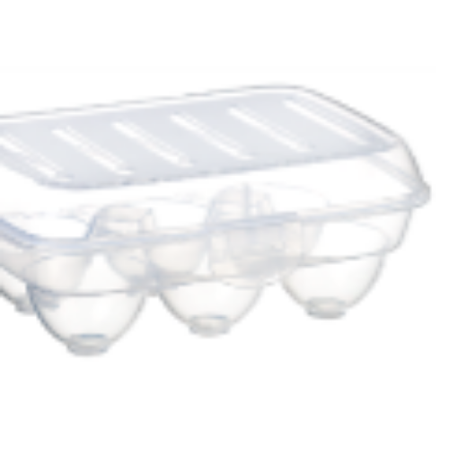 Egg Plus Egg Box 