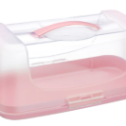 Idea Rectangular Cake Carrier  