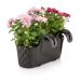 Alya - Venus Hanging Balcony Pot