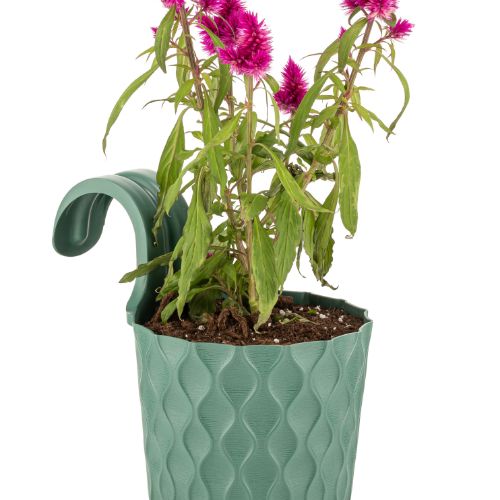 Alya - Venus Hanging Balcony Pot