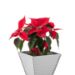 Alya - Wooden Flower Pot