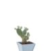 Alya - Wooden Flower Pot