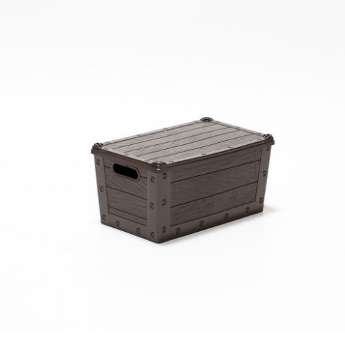 Alya - Case
