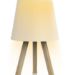 FIX-2021 LAMP SHADE