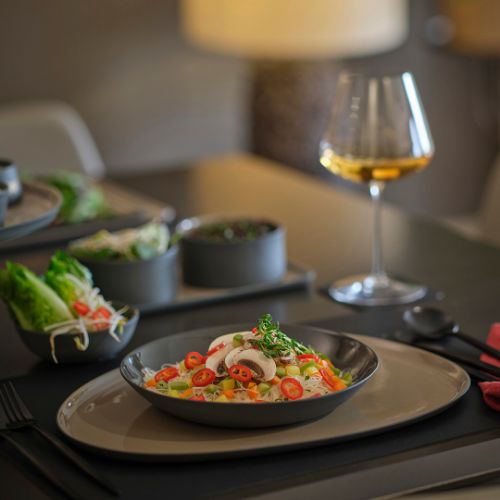 Stone Dinner Plate Double Colour