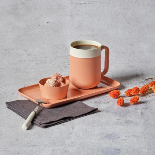 Rectangle Small Serving Plate Single Colour