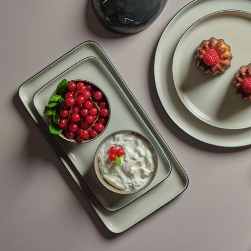 Rectangle Small Serving Plate Double Colour